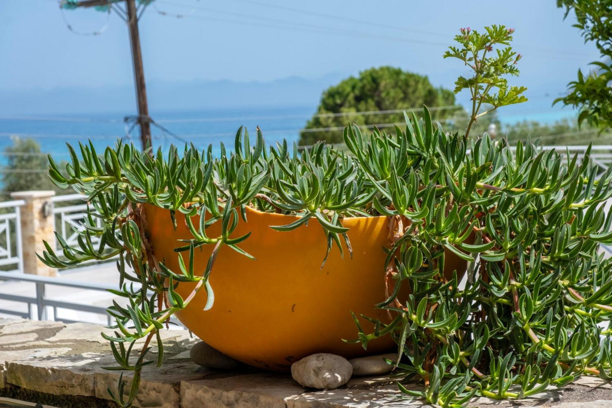 Theasea House Apartment Agios Nikitas Exterior photo